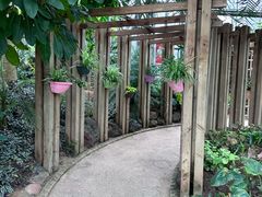 -南山植物园