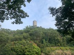 -深圳国际园林花卉博览园