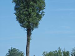 -汉长安城未央宫国家考古遗址公园