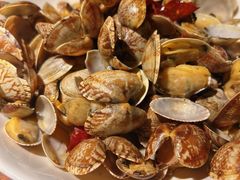 铁盒蛤蜊-前海沿·青岛菜(五四广场永旺店)