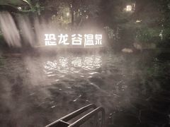 -常州环球恐龙城维景国际大酒店