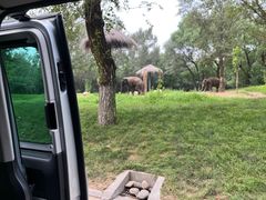 -北京野生动物园