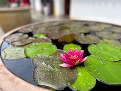 -圆通禅寺