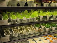 自助取餐区-半岛翡丽海鲜自助餐厅(观风亭店)