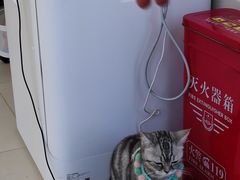 -怪兽屋·羊驼·猫咖·狗咖(俊华广场店)