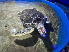 -石林冰雪海洋世界