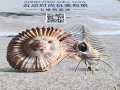 -摩登百货(岗顶店)