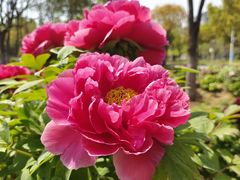 -江南大学(蠡湖校区)