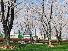 -龙美术馆西岸馆-停车场