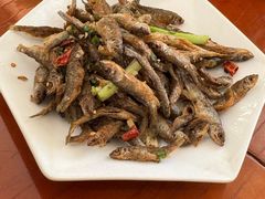 -品雅轩农家乐