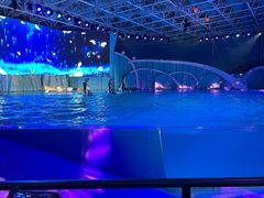 -海合安青岛极地海洋公园