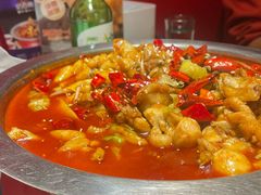 -美蛙四季(黄寺大街店)