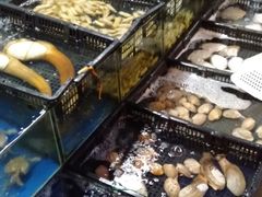-蚝专家