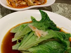 -蒙古大营(朝阳公园店)