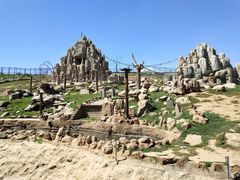 -石家庄市动物园