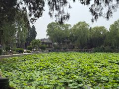 -莲池书院博物馆