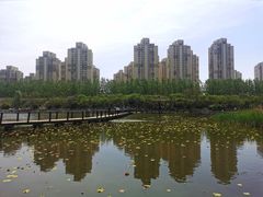 -前关湿地公园