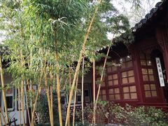 -西泠印社