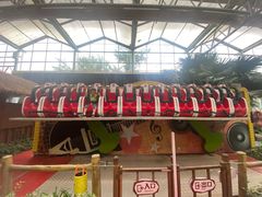 -南宫五洲植物乐园