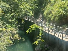 -石台牯牛降景区