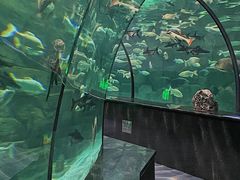 -西安曲江海洋极地公园