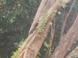 -馨月汇·独栋月子中心(南山店)
