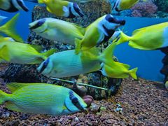 -海合安成都极地海洋公园