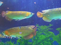 -弘安丽水温泉酒店