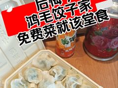 -鸿毛饺子(紫竹桥店)