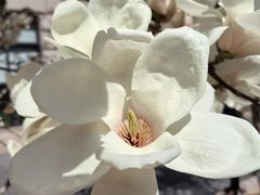 -锦什坊街叁拾伍号大厦