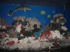 -北海·海洋之窗