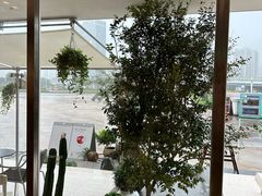 -喜茶(珠海华发商都店)