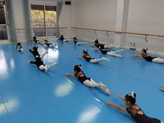 -西安小天鹅艺术团(曲江Alice店)