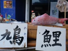 -水前寺成趣园