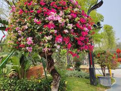 -文华公园(禅城区)