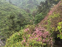 -木兰云雾山