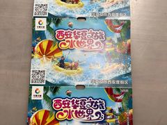 -《驼铃传奇》秀