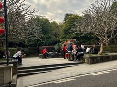 -大屏嶂森林公园
