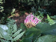 -乐山大佛风景名胜区乌尤寺南门-售票点