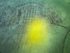 -白鹤梁水下博物馆