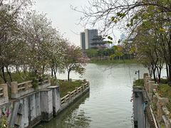 -海珠湖公园