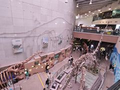 -陕西自然博物馆