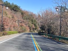 -句容茅山景区