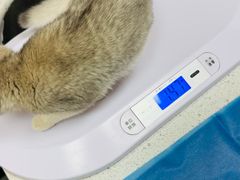 -芭比堂动物医院·CT·微创中心(新顺分院)