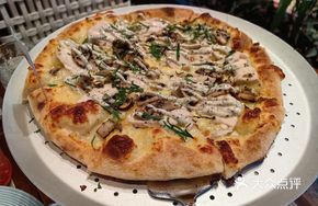 Chicken Breast Mushroom Truffle Sauce Pizza