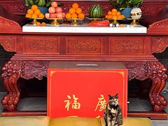 -吴兴寺