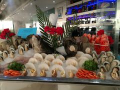 -339旋转餐厅(天府熊猫塔店)