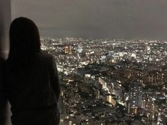-六本木新城展望台(东京城市景观)
