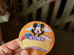 -上海迪士尼度假区