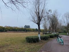 -白鹭湾湿地公园